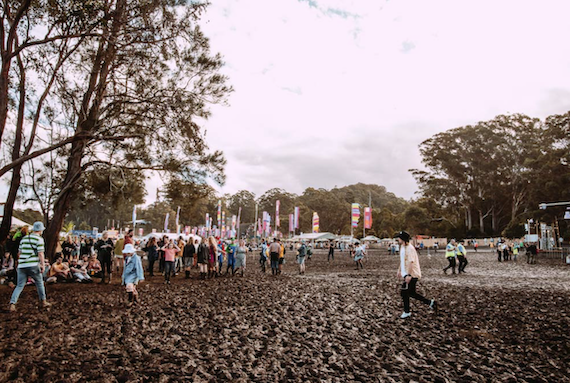 Splendour in the Grass 2024 Is Cancelled: Sources